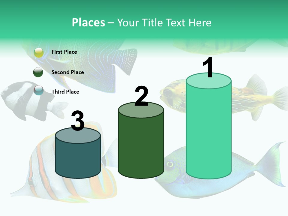 Reef Goldfish Seaside PowerPoint Template