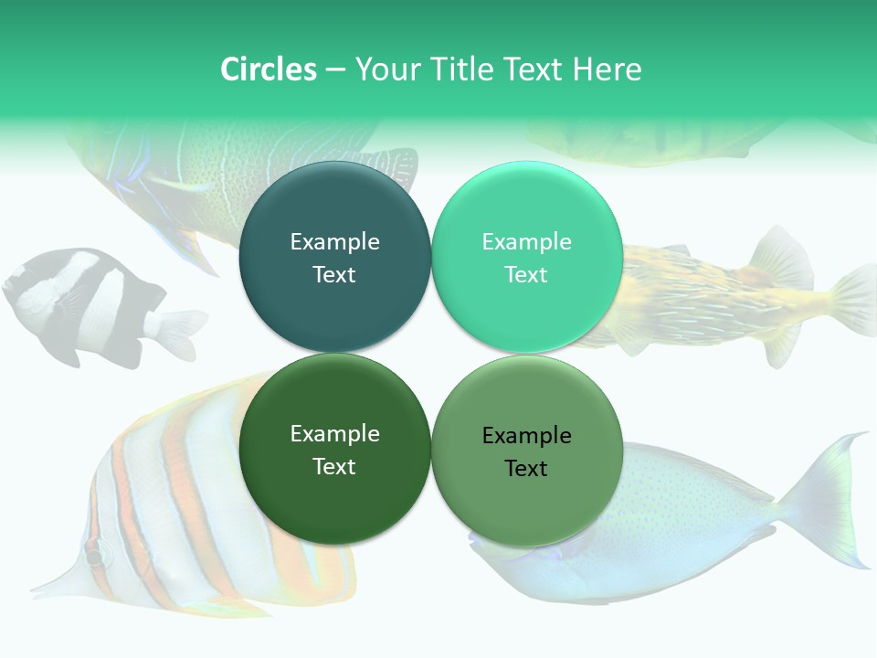 Reef Goldfish Seaside PowerPoint Template