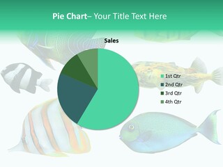 Reef Goldfish Seaside PowerPoint Template