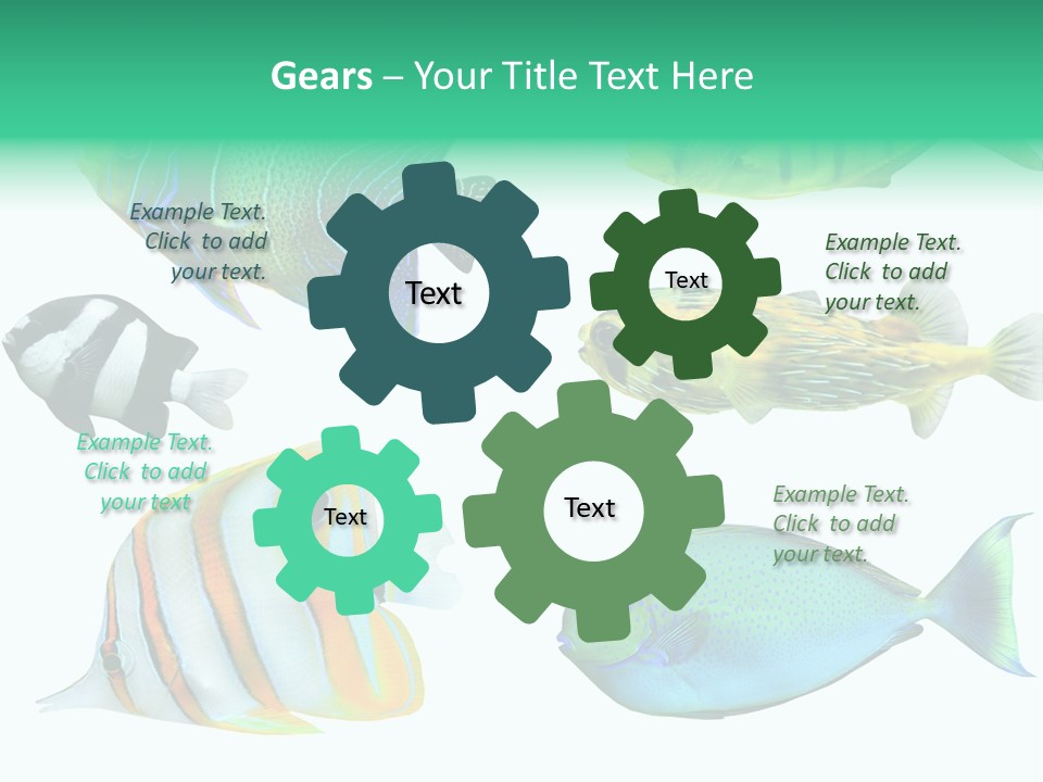 Reef Goldfish Seaside PowerPoint Template