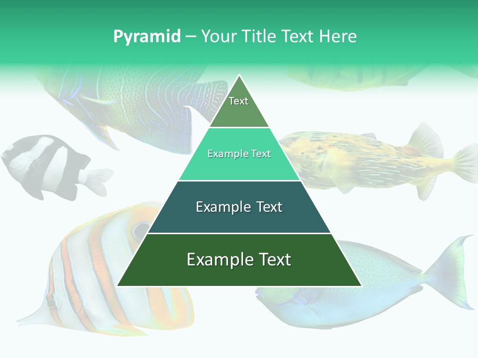 Reef Goldfish Seaside PowerPoint Template