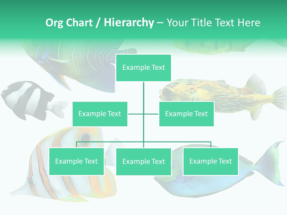 Reef Goldfish Seaside PowerPoint Template