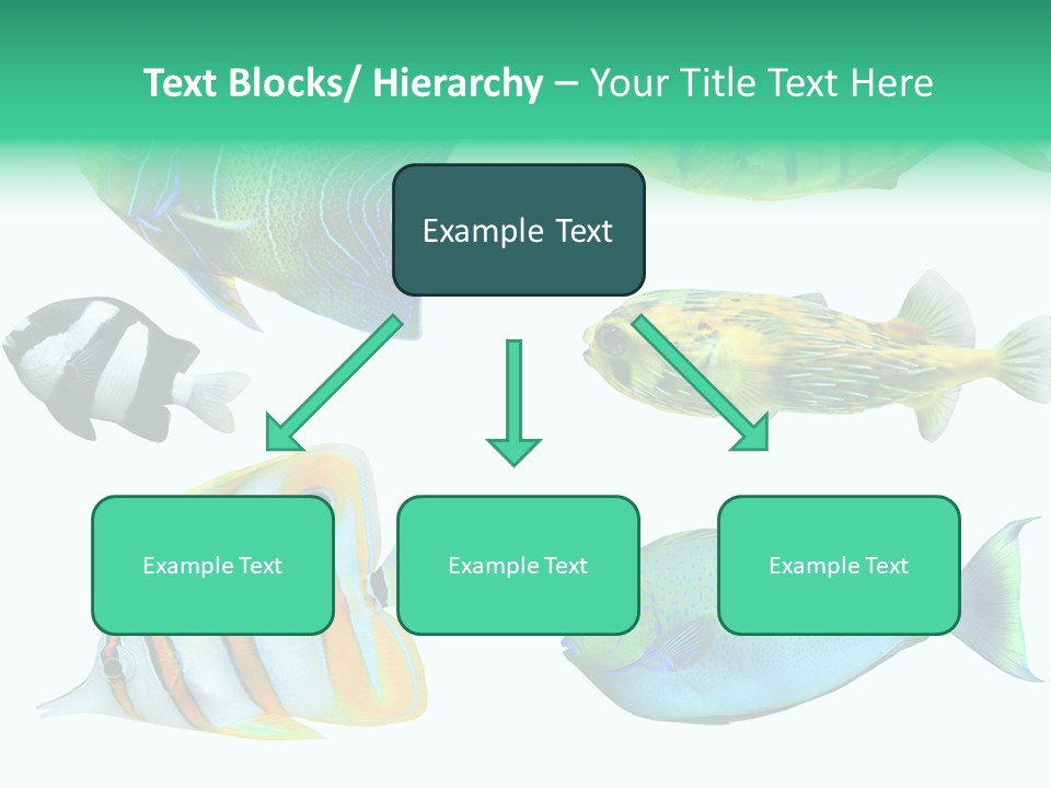 Reef Goldfish Seaside PowerPoint Template