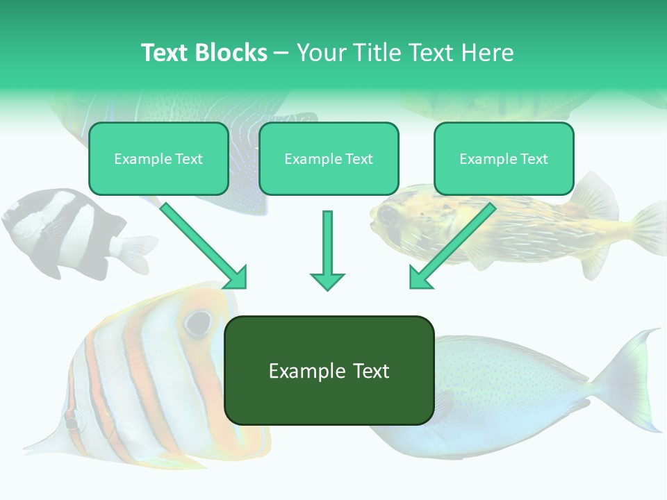Reef Goldfish Seaside PowerPoint Template