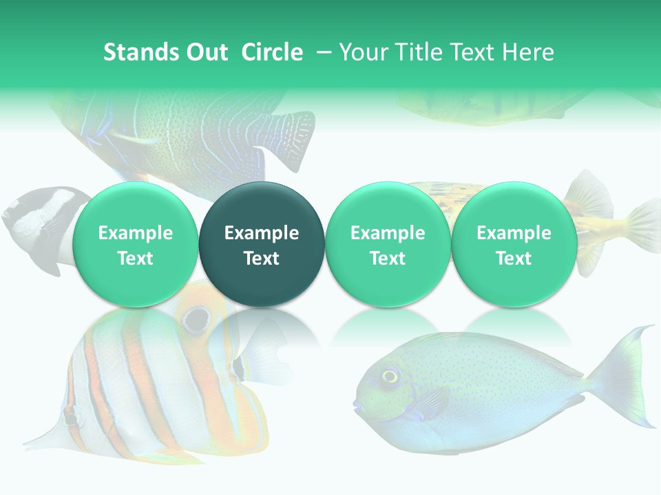 Reef Goldfish Seaside PowerPoint Template