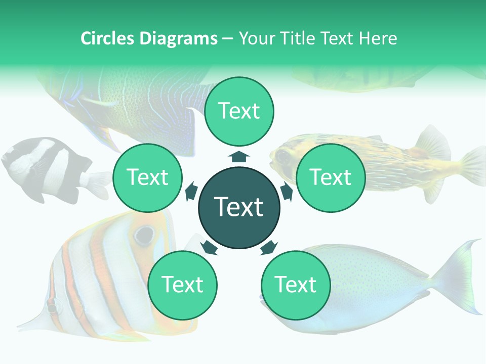 Reef Goldfish Seaside PowerPoint Template