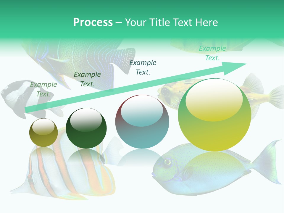 Reef Goldfish Seaside PowerPoint Template