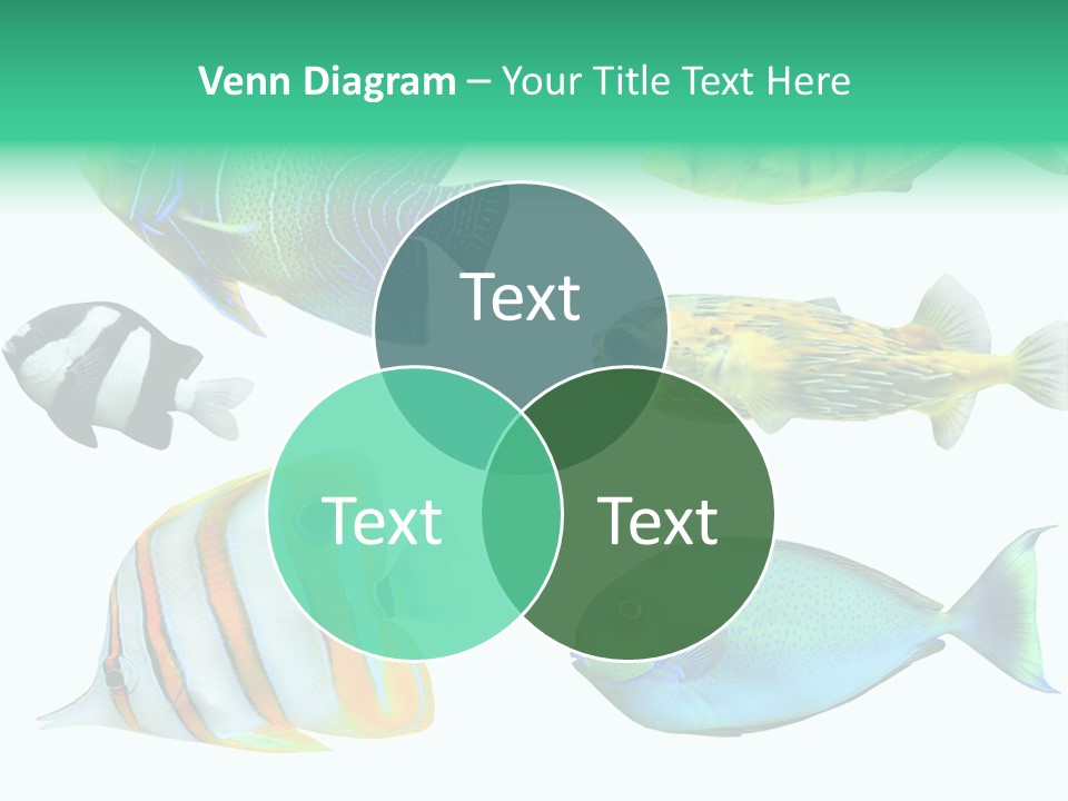 Reef Goldfish Seaside PowerPoint Template