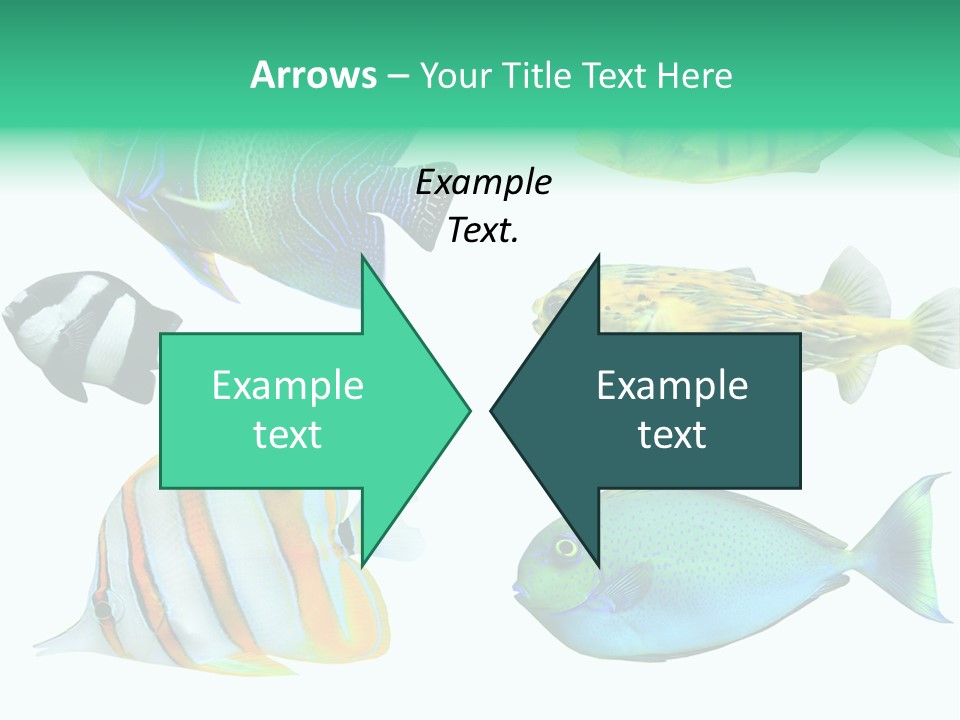 Reef Goldfish Seaside PowerPoint Template