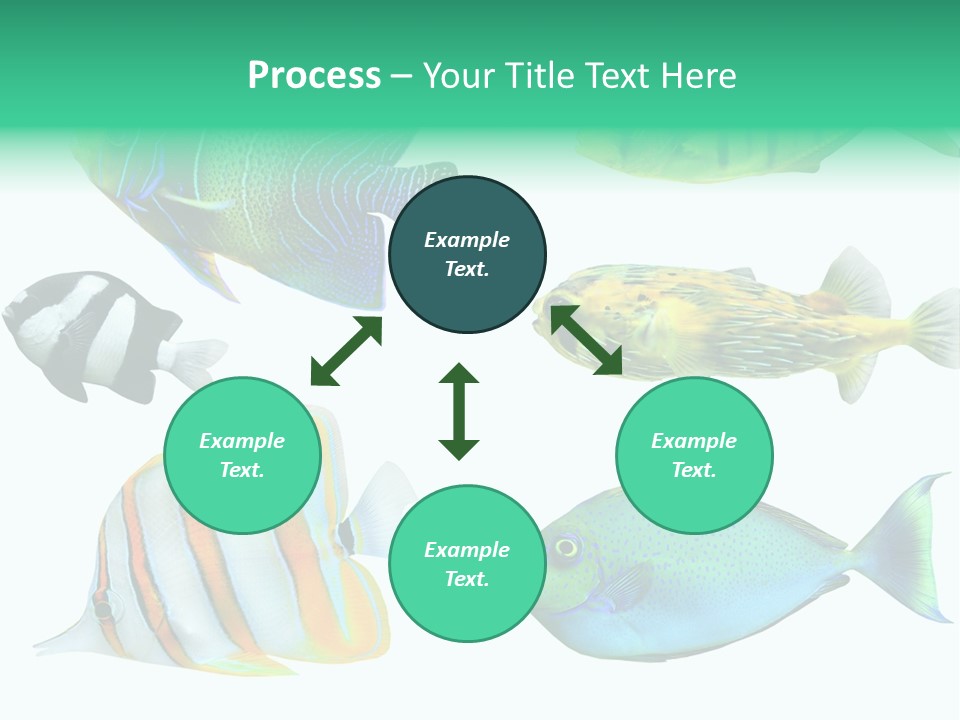 Reef Goldfish Seaside PowerPoint Template