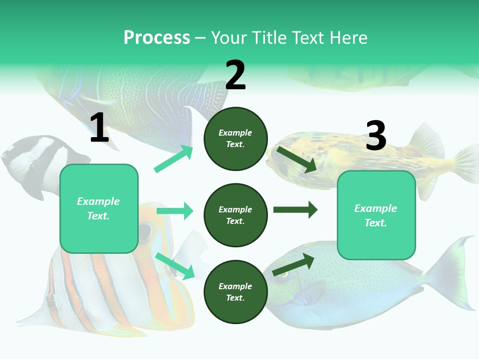 Reef Goldfish Seaside PowerPoint Template