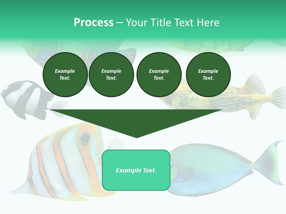 Reef Goldfish Seaside PowerPoint Template