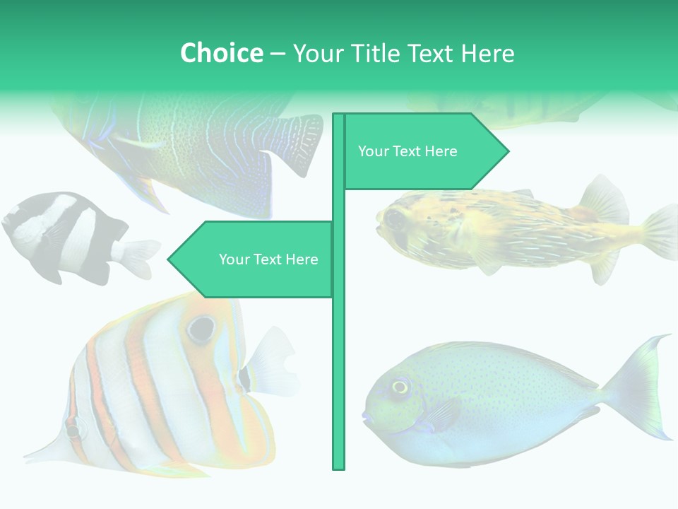 Reef Goldfish Seaside PowerPoint Template