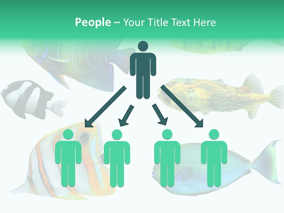 Reef Goldfish Seaside PowerPoint Template