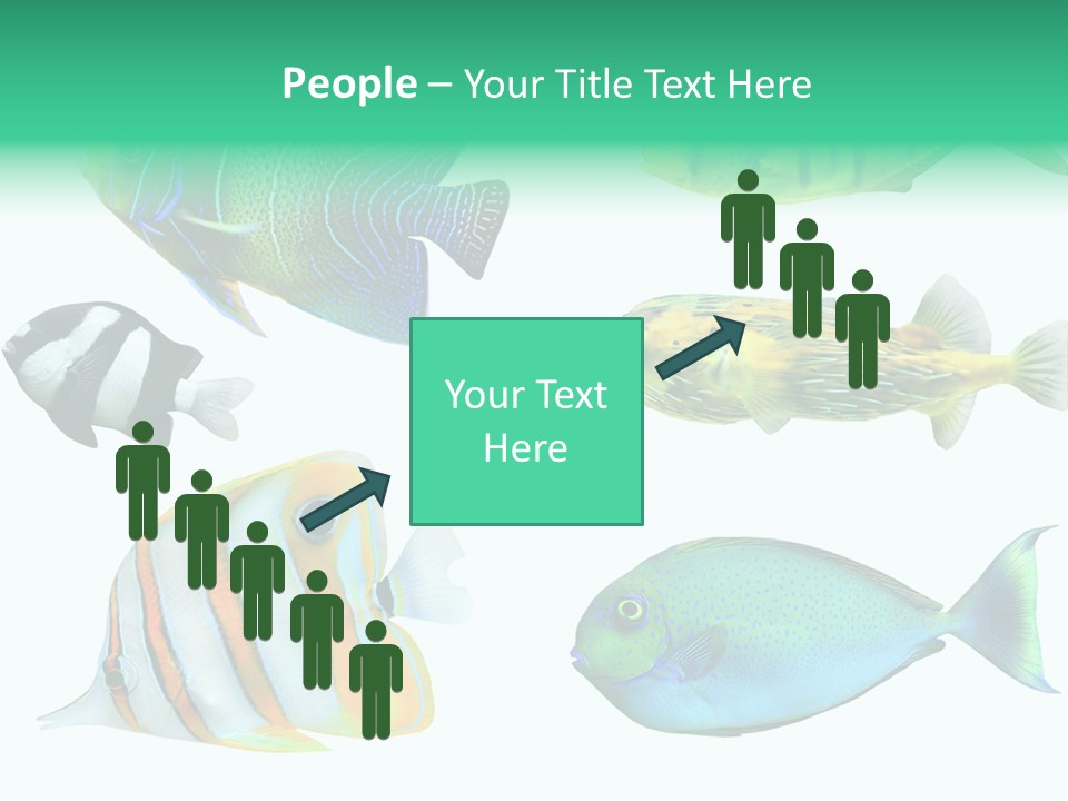 Reef Goldfish Seaside PowerPoint Template