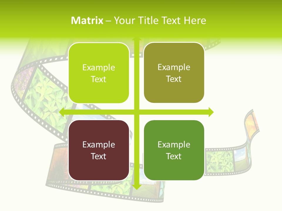Beautiful Blossom Conservation PowerPoint Template