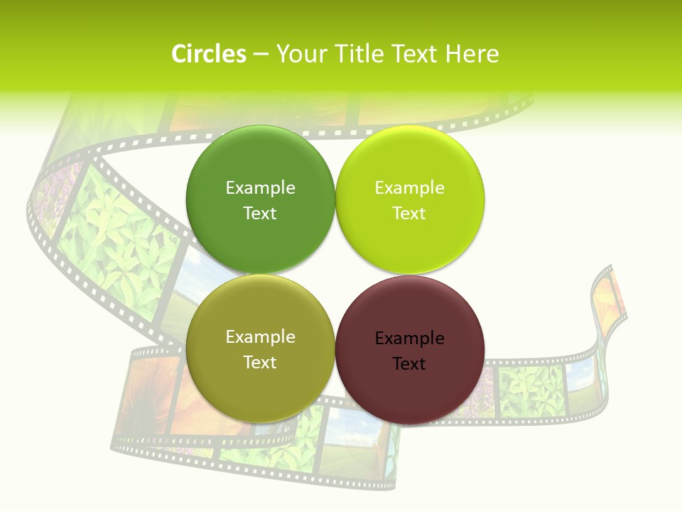 Beautiful Blossom Conservation PowerPoint Template