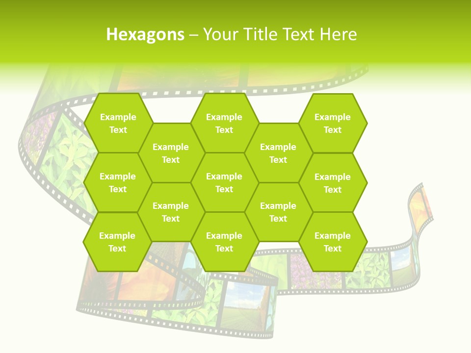 Beautiful Blossom Conservation PowerPoint Template