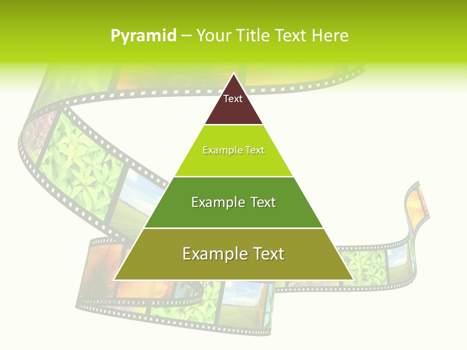 Beautiful Blossom Conservation PowerPoint Template