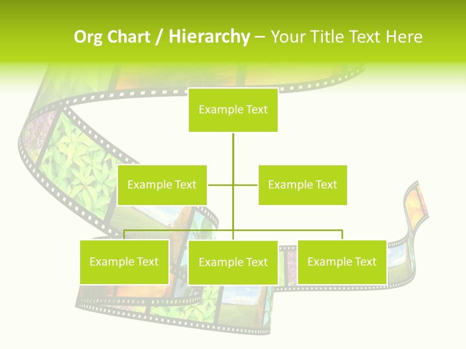 Beautiful Blossom Conservation PowerPoint Template