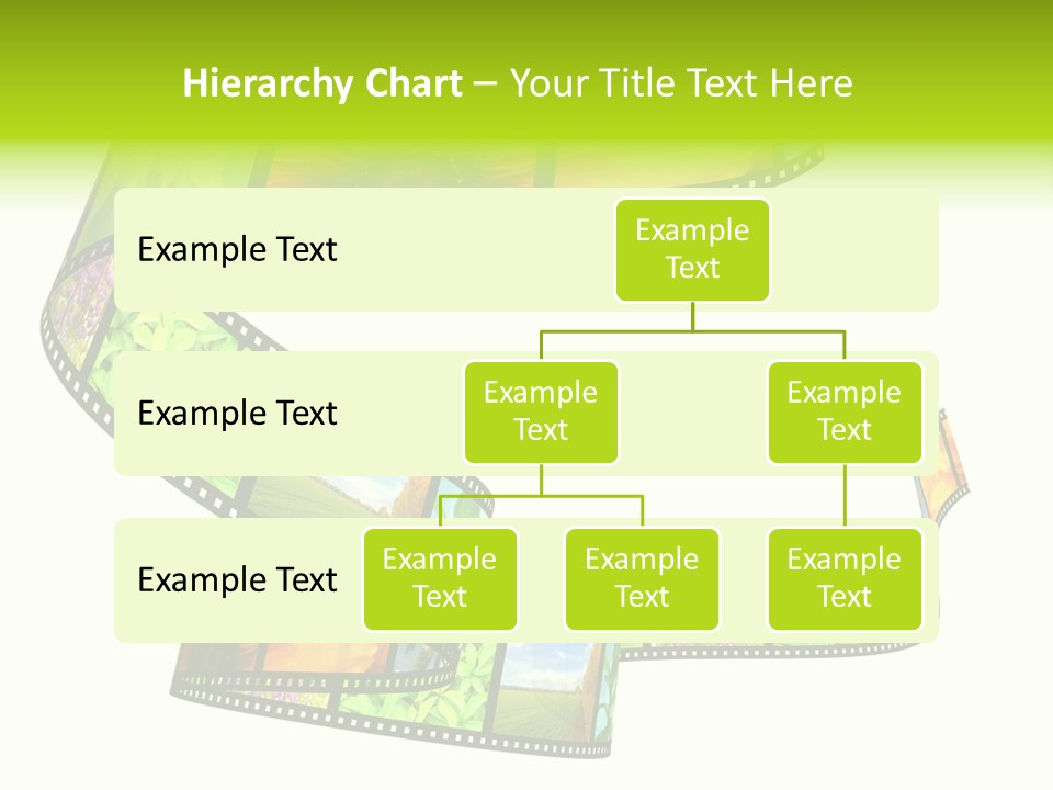 Beautiful Blossom Conservation PowerPoint Template
