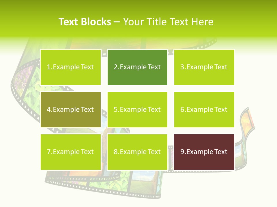 Beautiful Blossom Conservation PowerPoint Template
