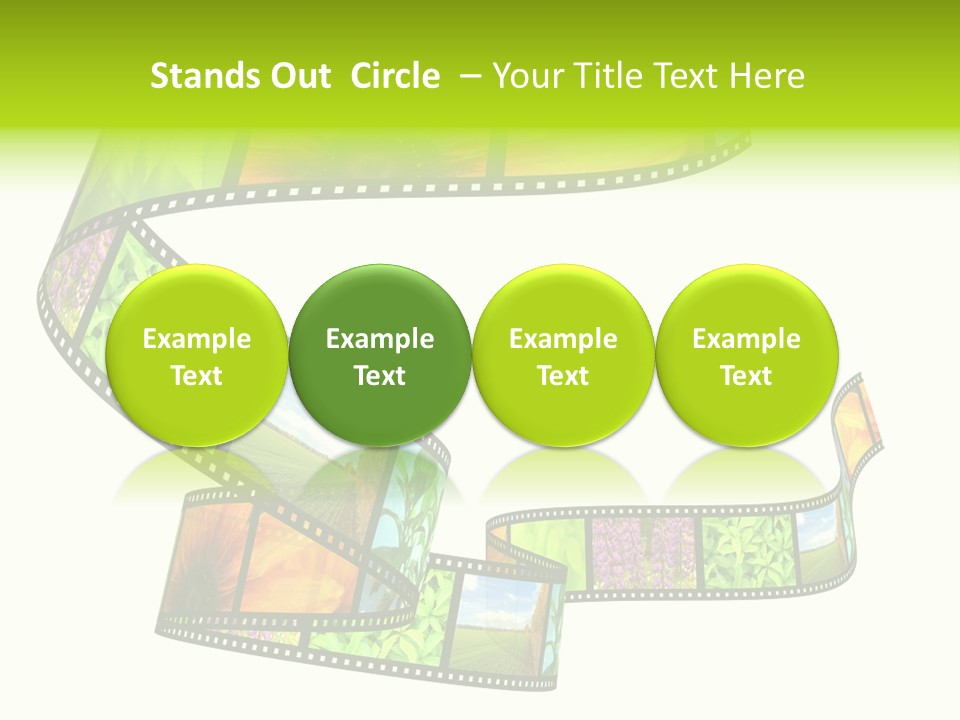 Beautiful Blossom Conservation PowerPoint Template