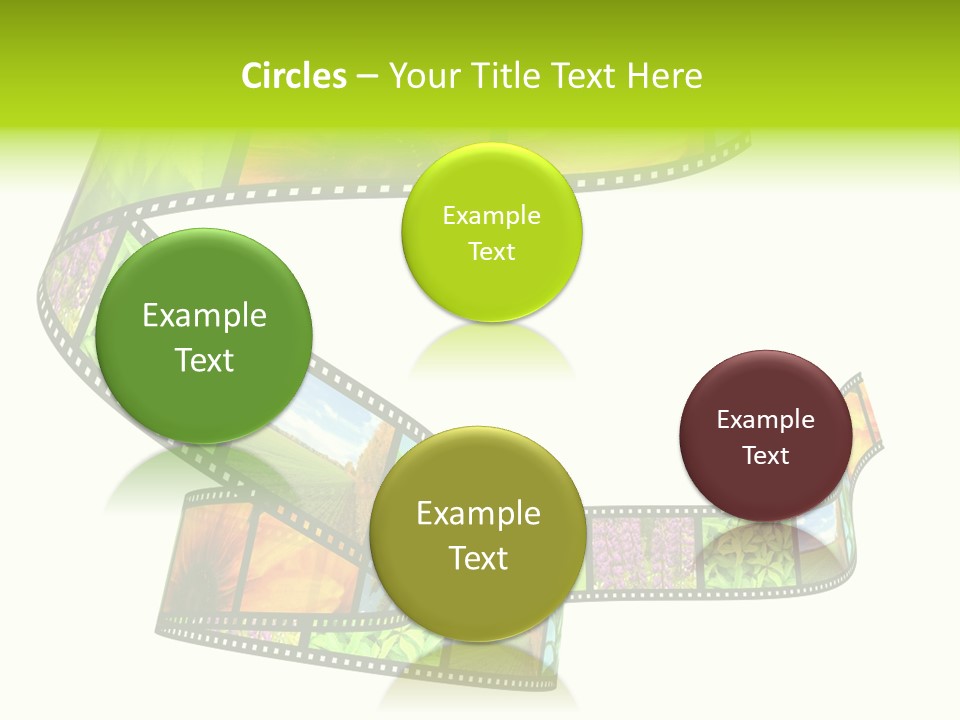 Beautiful Blossom Conservation PowerPoint Template