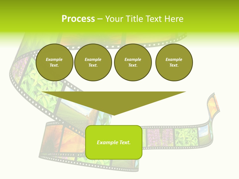 Beautiful Blossom Conservation PowerPoint Template