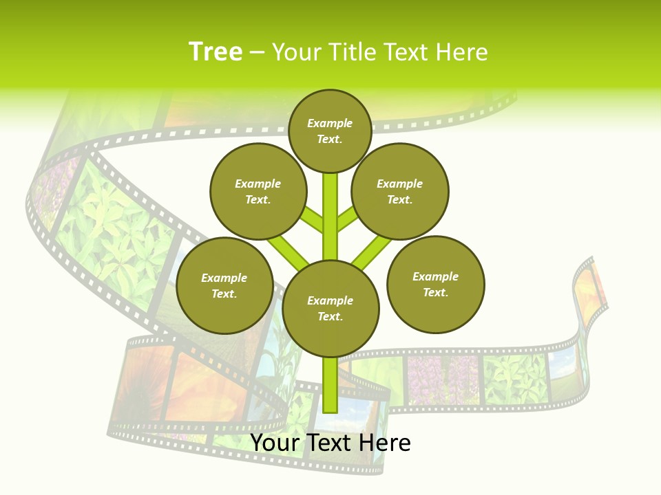 Beautiful Blossom Conservation PowerPoint Template