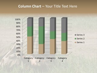 Force Soldier Reenacting PowerPoint Template