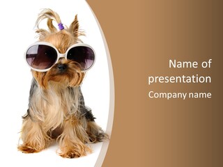 Animal View Canine PowerPoint Template