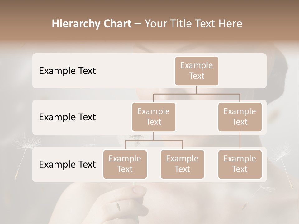 People Beauty Women PowerPoint Template
