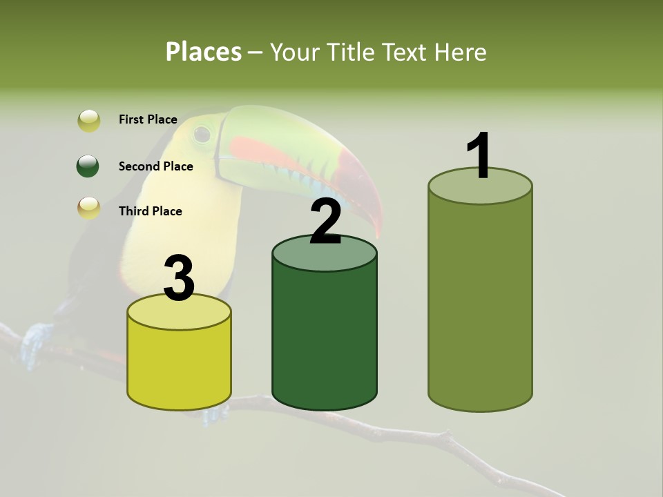 America Bill Green PowerPoint Template