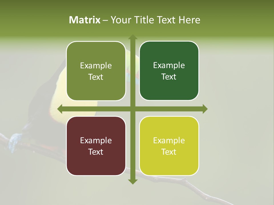 America Bill Green PowerPoint Template