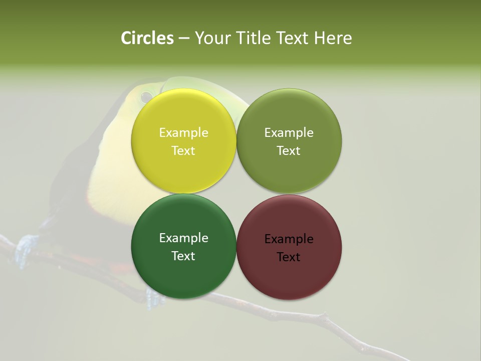 America Bill Green PowerPoint Template