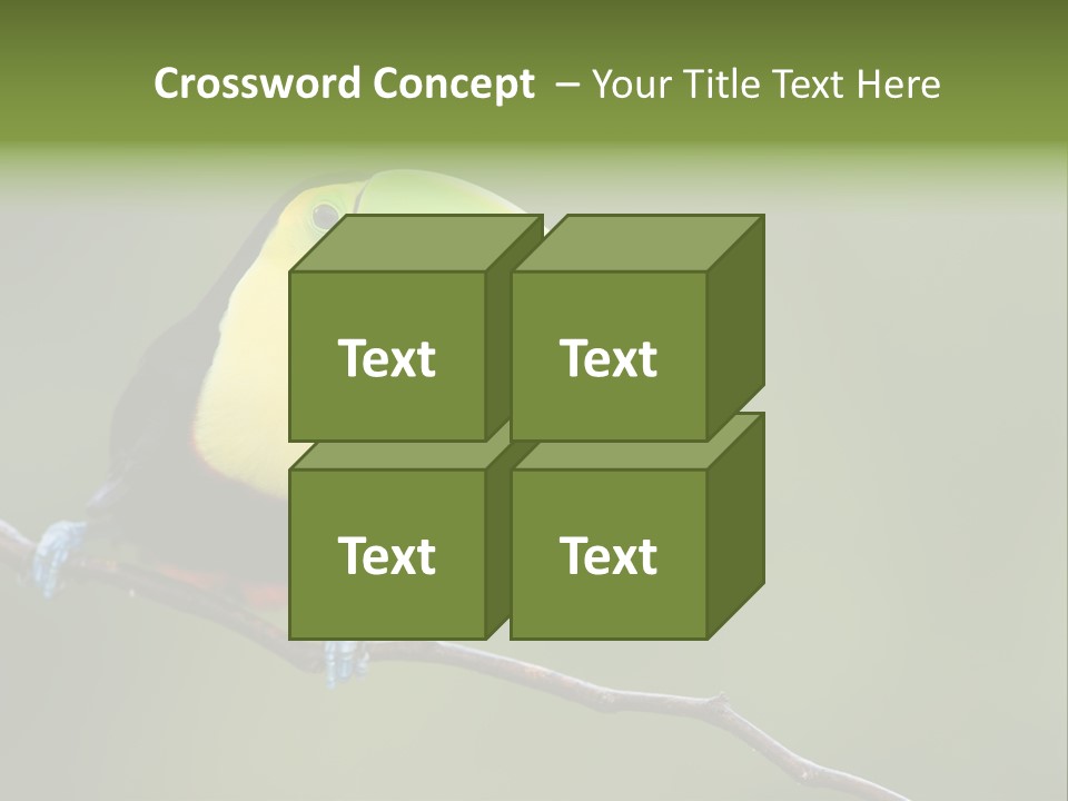 America Bill Green PowerPoint Template