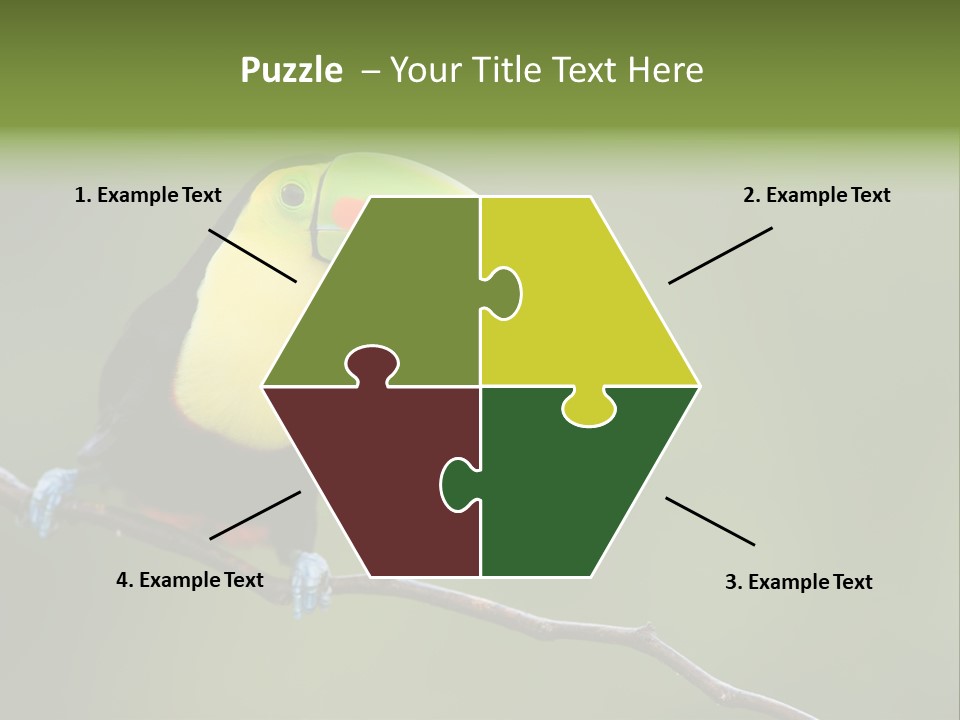 America Bill Green PowerPoint Template