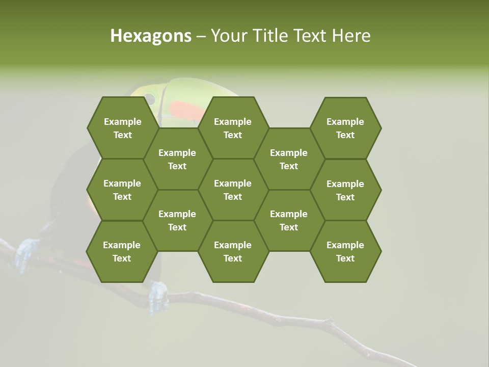 America Bill Green PowerPoint Template