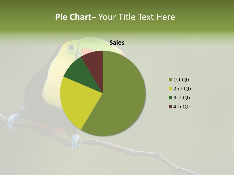 America Bill Green PowerPoint Template