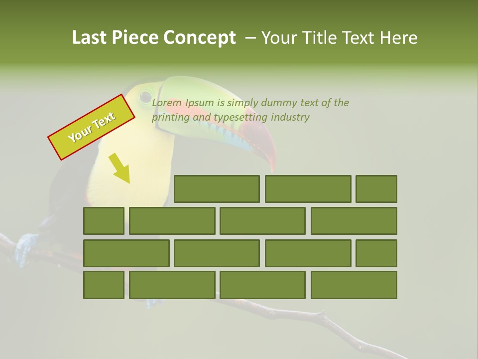 America Bill Green PowerPoint Template