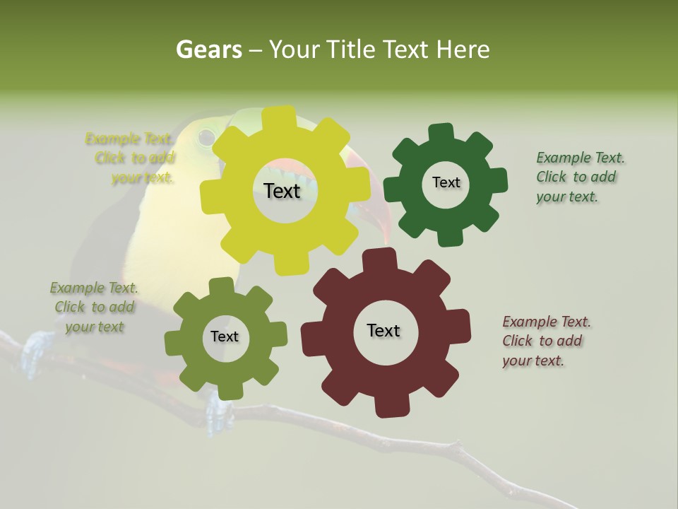 America Bill Green PowerPoint Template