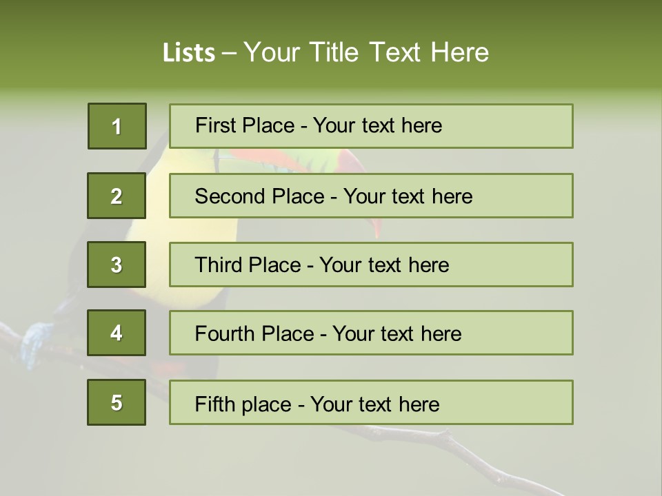 America Bill Green PowerPoint Template
