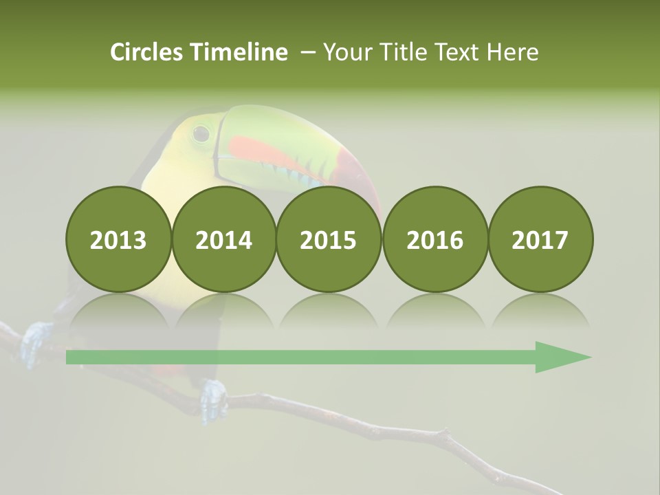 America Bill Green PowerPoint Template