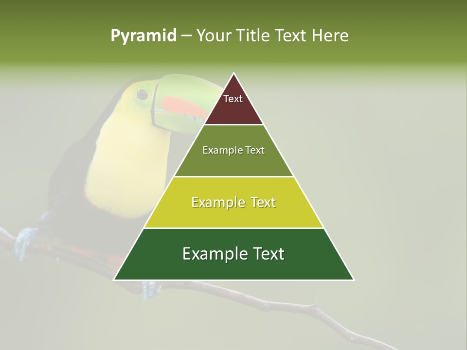 America Bill Green PowerPoint Template