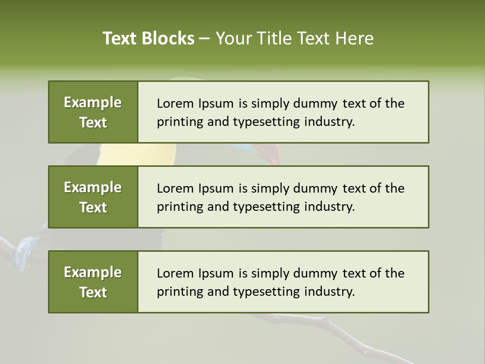 America Bill Green PowerPoint Template