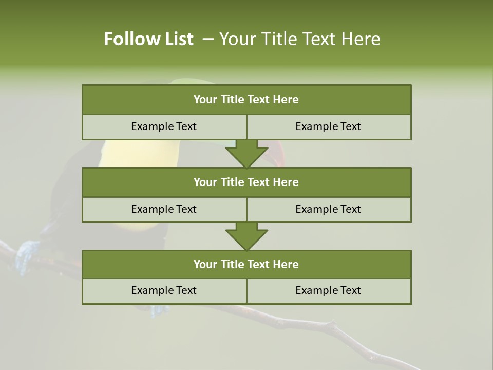 America Bill Green PowerPoint Template
