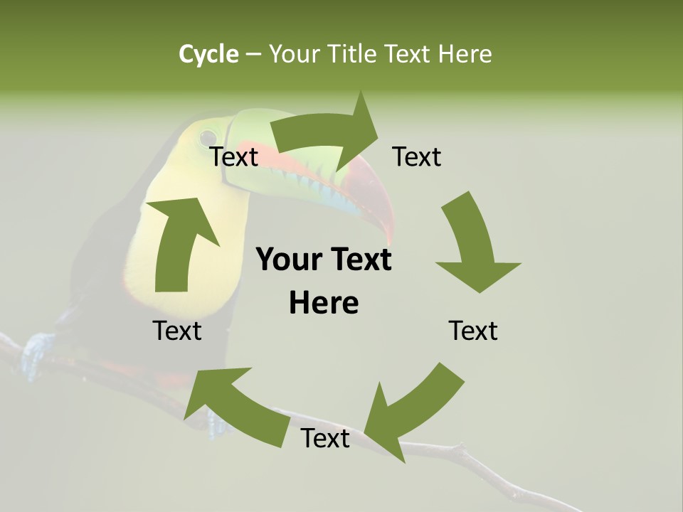 America Bill Green PowerPoint Template