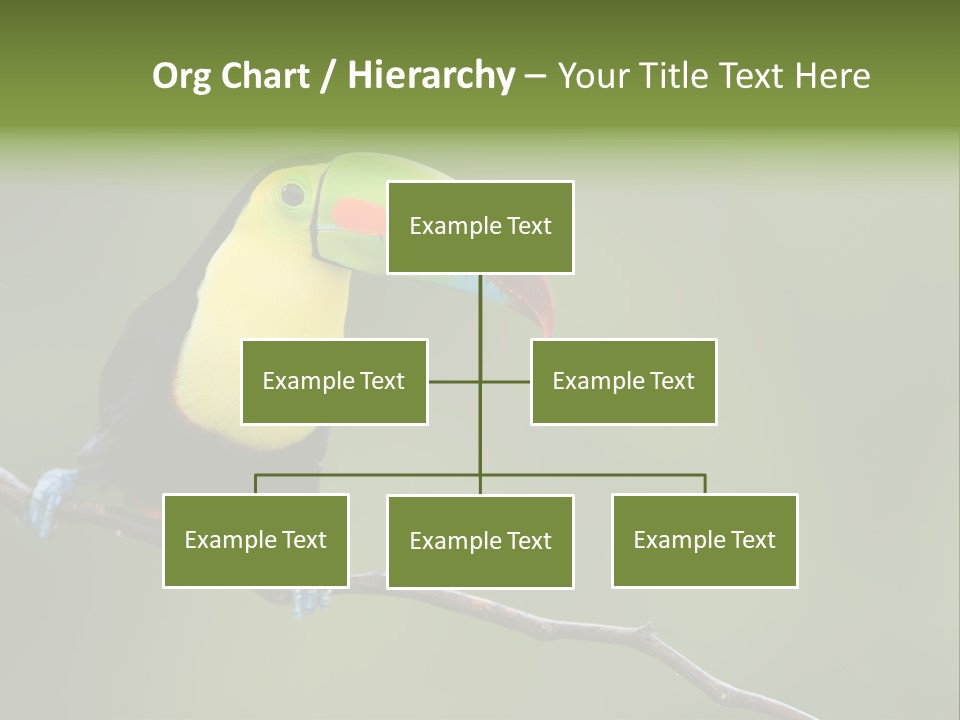 America Bill Green PowerPoint Template