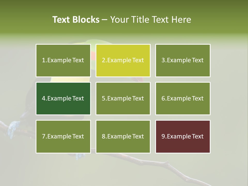 America Bill Green PowerPoint Template